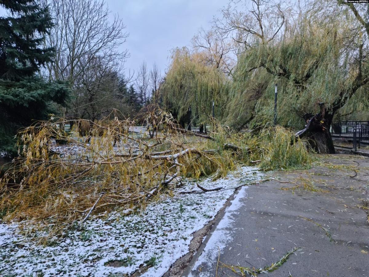 01000000-c0a8-0242-3806-08dbef1ead76_w1597_n_st_11zon