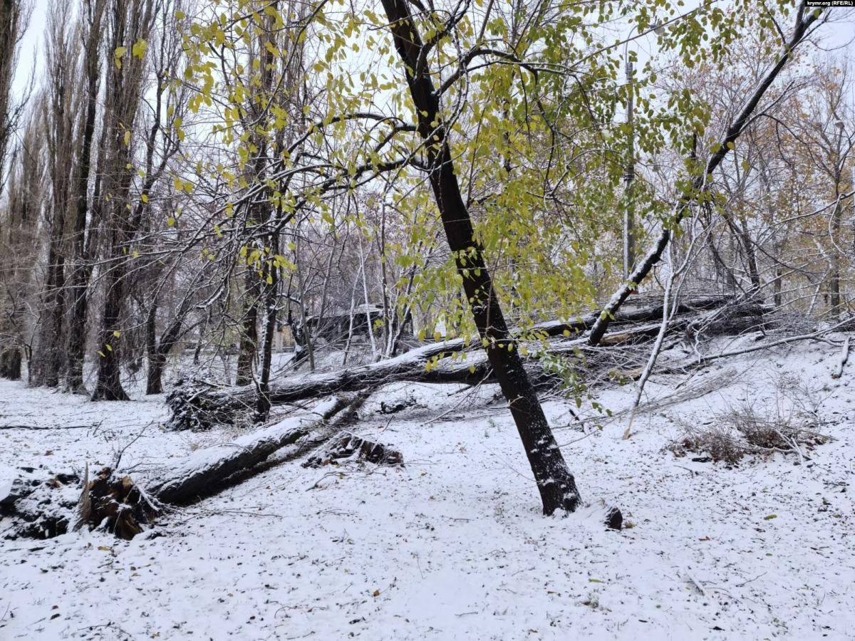 01000000-c0a8-0242-4a60-08dbef1df161_w1597_n_st_11zon