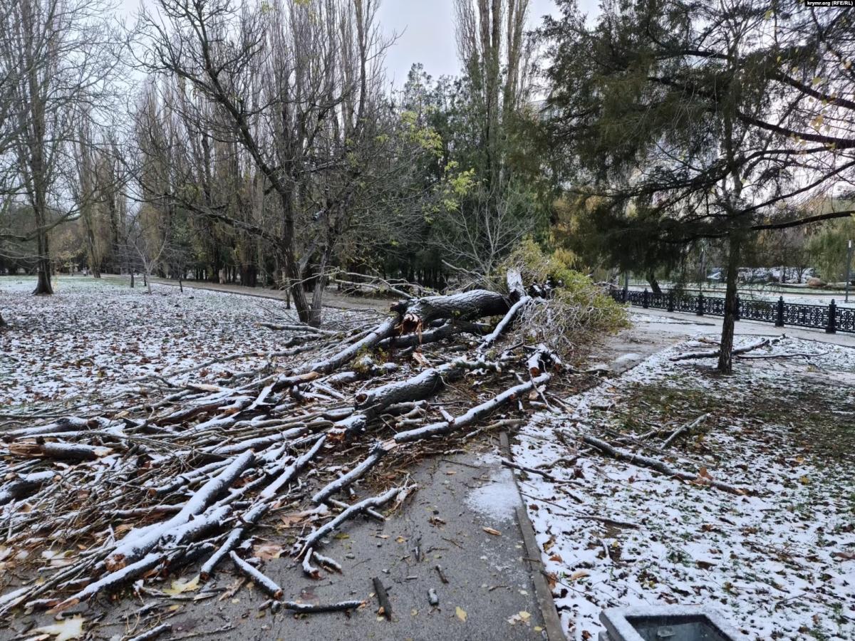 01000000-c0a8-0242-4cee-08dbef1ee8aa_w1597_n_st_11zon