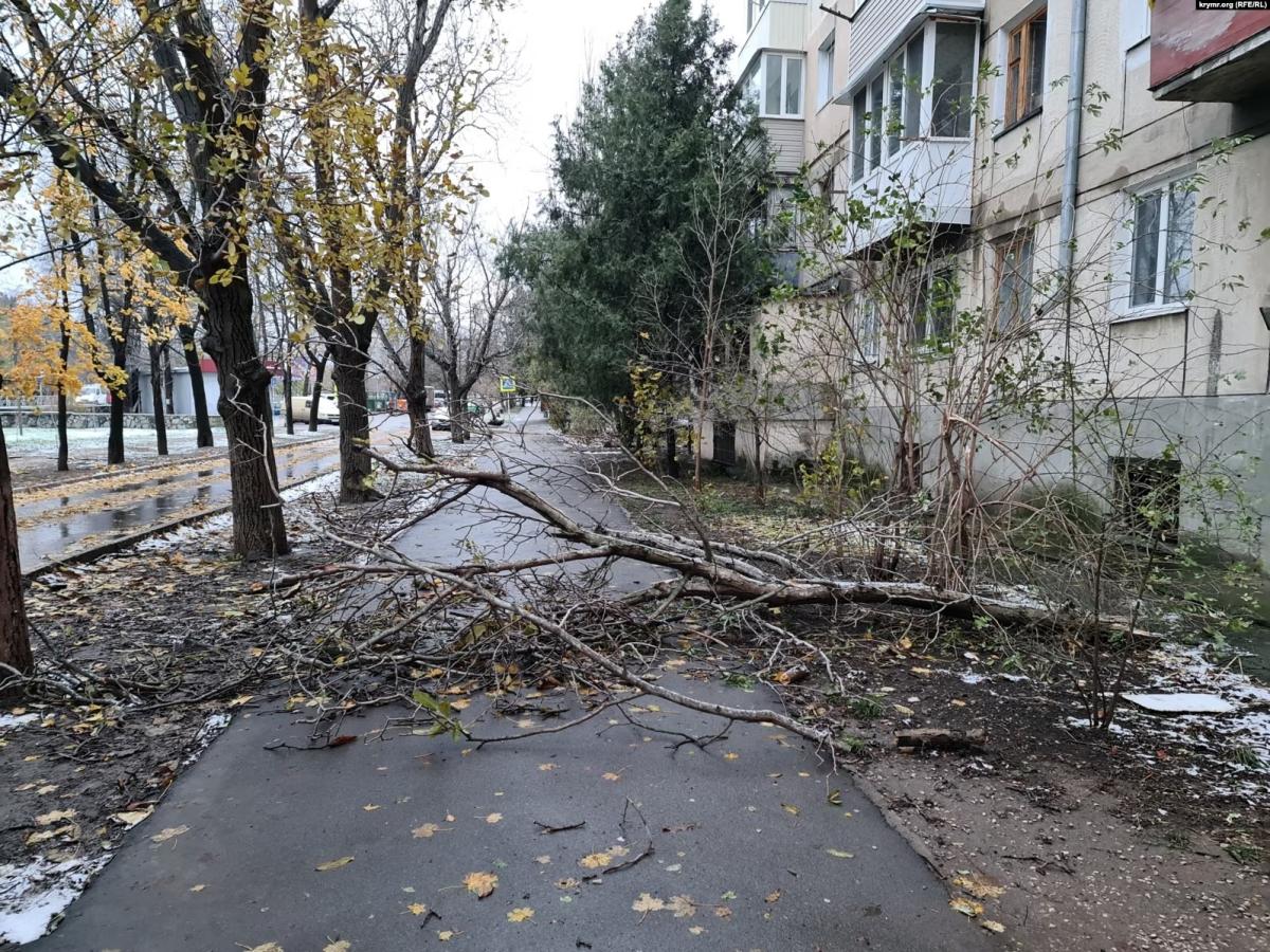 01000000-c0a8-0242-79e4-08dbef1ee962_w1597_n_st_11zon