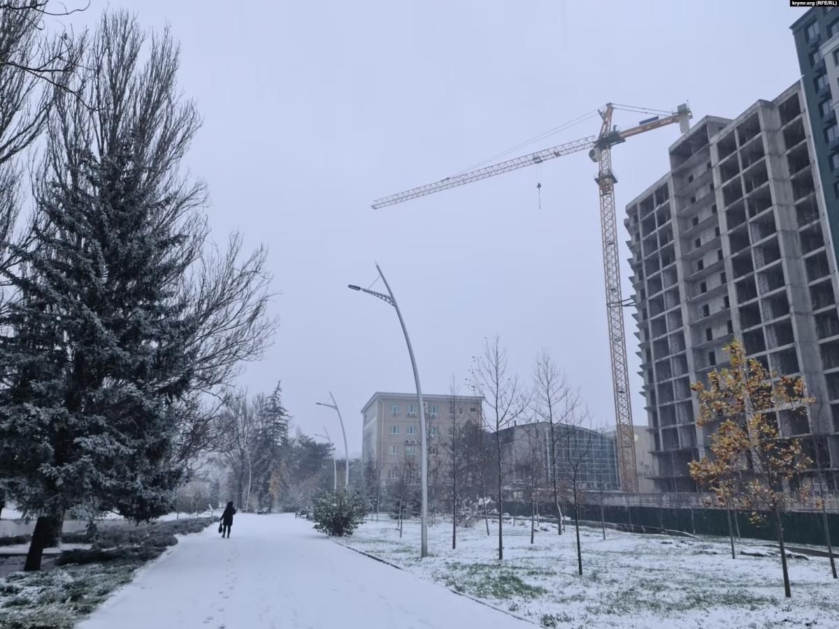 01000000-c0a8-0242-7faf-08dbef1df2c1_w1597_n_st_11zon