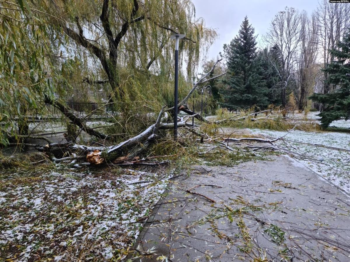 01000000-c0a8-0242-929a-08dbef1ead72_w1597_n_st_11zon