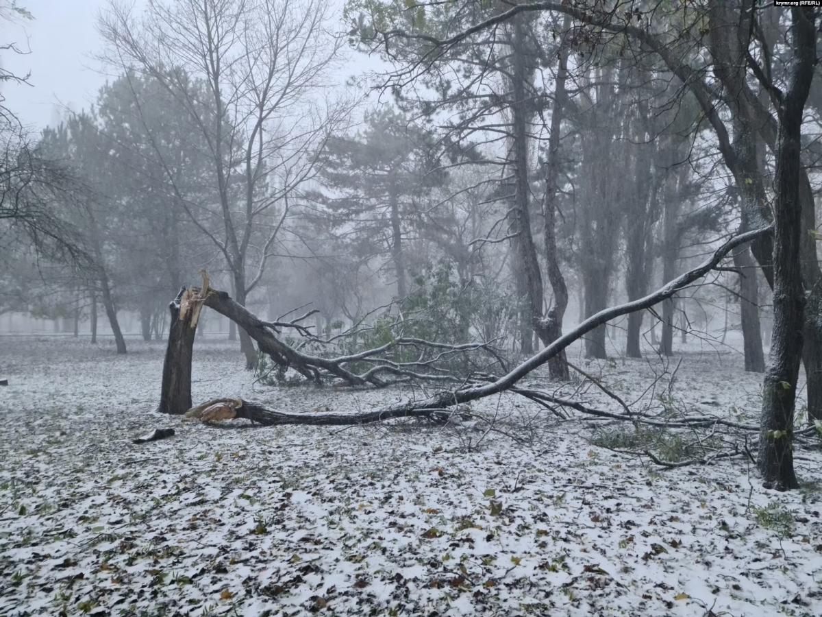 01000000-c0a8-0242-b81c-08dbef1df5a9_w1597_n_st_11zon